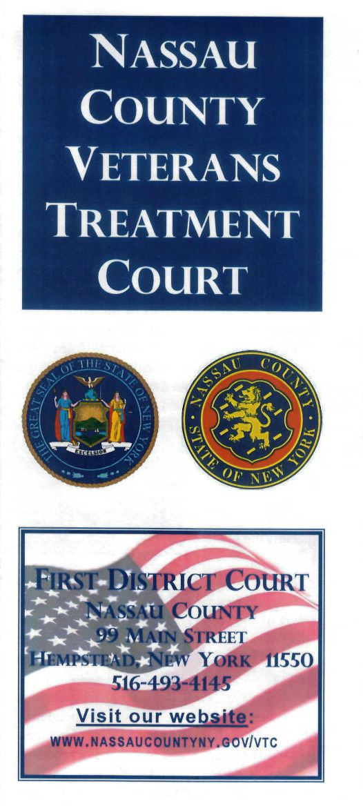 Treatment Court 1