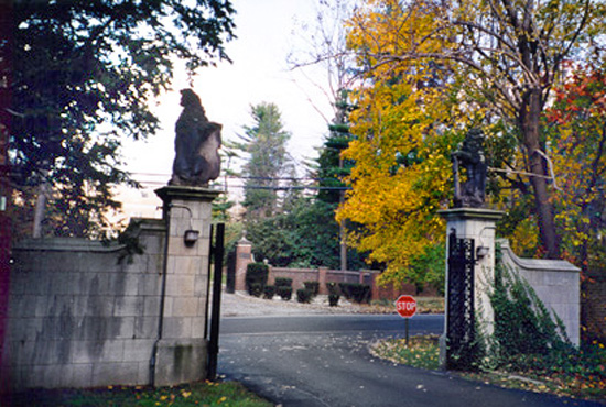 Cement gate and driveway